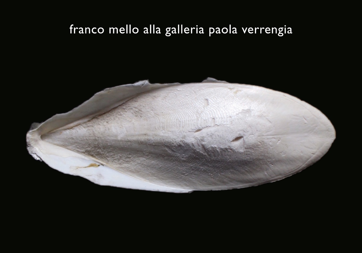Franco Mello - Innesti